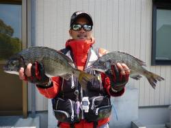 湯浅の磯フカセ釣りでのチヌ釣果