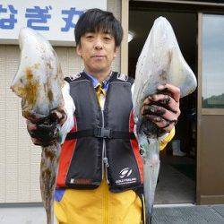アオリイカ胴長31cm&27cm ☆ 湯浅の磯でのエギング釣果