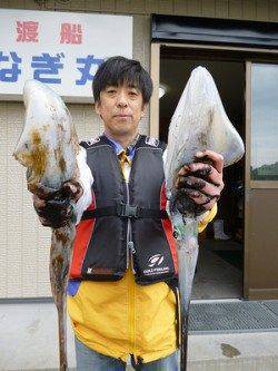 アオリイカ胴長31cm&27cm ☆ 湯浅の磯でのエギング釣果