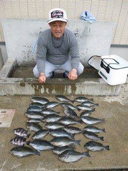 湯浅の磯、フカセのグレ好調32匹、ほか良型チヌも