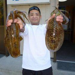 ナイスサイズのアオリイカ2ハイ〜湯浅の磯のヤエン釣果