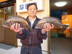 湯浅の磯、フカセ釣りで良型チヌにアイゴ・カワハギ