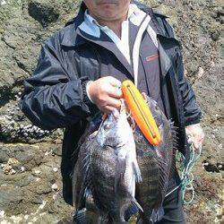 湯浅の磯、昼までに紀州釣りでチヌ10匹♪