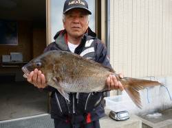 湯浅の磯フカセでマダイ69cm！チヌも良型…