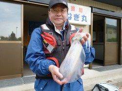 ヤエンとエギングどちらもアオリイカ釣果あります☆湯浅の磯