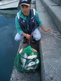 湯浅の磯の紀州釣りでチヌ～50.0cm7匹…