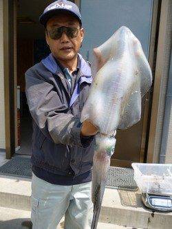 湯浅の磯大型アオリイカ〜ウキ釣りで2.53kg&ヤエンで2.07kg！