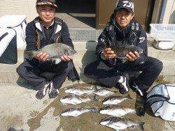 湯浅の磯フカセの年なしチヌにエギングではアオリの釣果♪