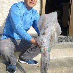 湯浅の磯大型アオリイカ〜ウキ釣りで2.53kg&ヤエンで2.07kg！