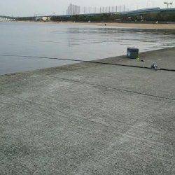 エビ撒きでキビレ〜コツは針に大小のエビを２匹つけること