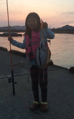 和田　波風強い中でのエギングでコウイカがヒ…