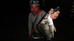 大阪南港チニング SLKで広範囲を探り歩き…