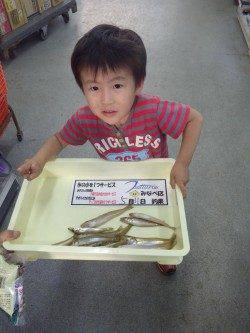 大屋の浜でチョイ投げでキス〜お子様の釣果