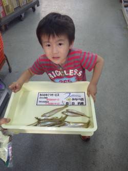 大屋の浜でチョイ投げでキス〜お子様の釣果