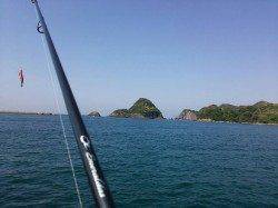 香住東港でモンゴウイカヒット!!