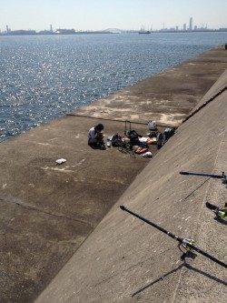 武庫川一文字スルメイカ狙い〜サイズが小さくなかなかのりません