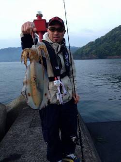 高浜でエギング　全て潮止まりの時間帯でつれ…