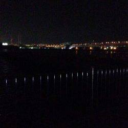 芦屋浜でグレ釣り〜電気ウキが海中にひきづり込まました