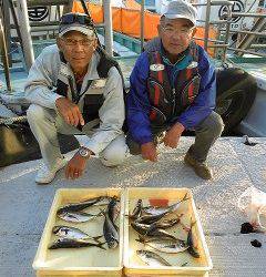 沖一文字白灯　サビキで30cm弱の良型アジ