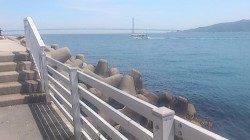 新浜漁港 探り釣りでガシラ&アイナメの釣果