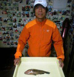 シラサのウキ釣りでアイナメにアコウが釣れています★