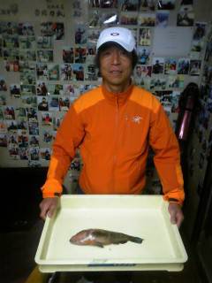 シラサのウキ釣りでアイナメにアコウが釣れています★