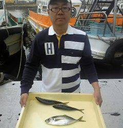 沖一文字白灯、サビキでいい型のアジが釣れています