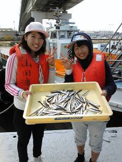 岸和田一文字　サビキでイワシの釣果