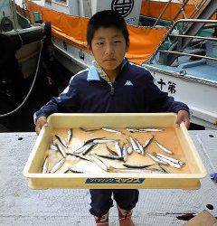岸和田一文字　サビキでイワシの釣果