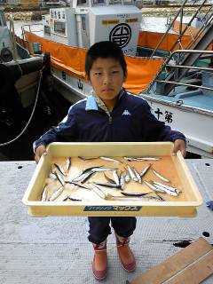 岸和田一文字　サビキでイワシの釣果