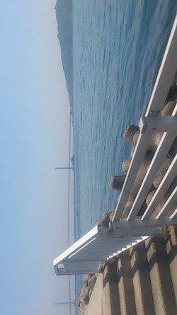 新浜漁港での投げ釣り＆探り釣りの釣果