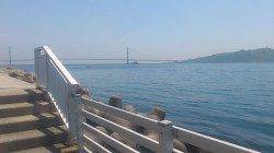 新浜漁港での投げ釣り＆探り釣りの釣果