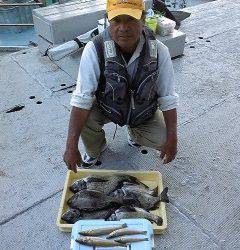 沖一文字カーブ　フカセでチヌ、ちょい投げでキスの釣果