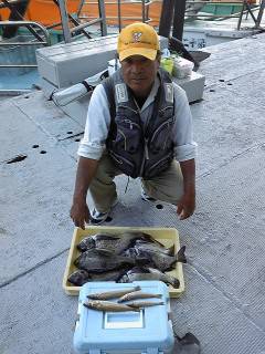 沖一文字カーブ　フカセでチヌ、ちょい投げで…