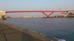 灘浜にて30分だけエギング〜今年最初のコウイカをゲット