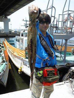 岸和田一文字　タコエギで良型タコの釣果