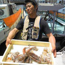 岸和田一文字　タコエギで良型タコの釣果