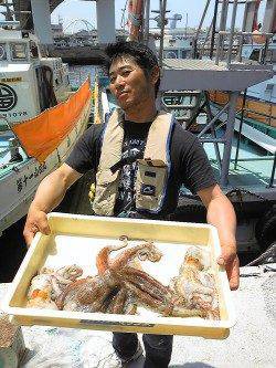 岸和田一文字　タコエギで良型タコの釣果