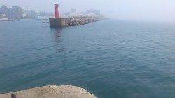 明石港 ウキ釣りと投げ釣りでウミタナゴ・アブシン・ガシラ・ベラなど