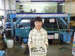 芳養堤防でサビキ　休みなしで釣れました！