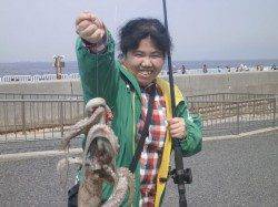 南港海釣り公園 サビキでイワシの他タコも1パイ