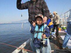尼崎市魚つり公園　サビキのカタクチイワシの他ハネの釣果も
