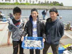尼崎市魚つり公園　サビキのカタクチイワシの…