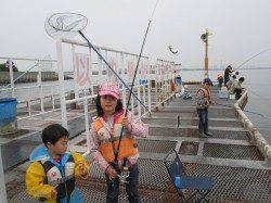 雨の尼崎市魚つり公園　サビキでイワシ大漁です♪