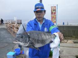 大型チヌにサビキでイワシ大漁！大阪南港海釣…