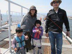 尼崎市魚つり公園　今日もカタクチイワシが好調