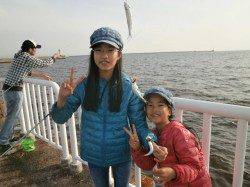 南港海釣り公園　イワシは園で5000匹〜