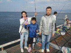 尼崎市魚つり公園 今日もイワシの大漁釣果