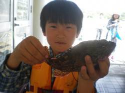 姫路市立遊魚センター、探り釣りで良型ガシラ…