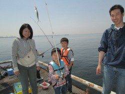 尼崎市魚つり公園、イワシ好調！大盛況でした